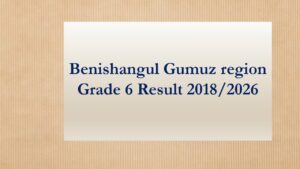 Read more about the article Benishangul Gumuz region Grade 6 Results 2018 (2026) Ethiopia