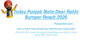 Read more about the article Punjab State Dear Rakhi Bumper Lottery Result 29-08-2026 Find Winning Numbers today
